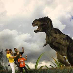 Meet your Posher, Donnetta